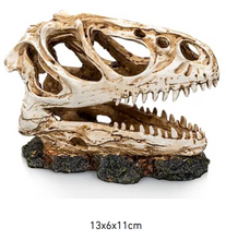 Carica l'immagine nel visualizzatore di Gallery, Cráneo DINOSAURIO T-Rex
