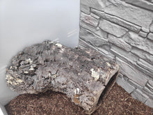 Carica l'immagine nel visualizzatore di Gallery, Tubo corcho, cueva y para trepar
