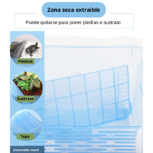 Carica l'immagine nel visualizzatore di Gallery, Tortuguera para Tortugas Acuáticas con Zona Seca – Hábitat Completo, Ventilado y Fácil de Limpiar
