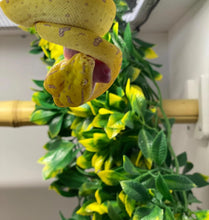 Carica l'immagine nel visualizzatore di Gallery, Percha de caña de bambú
