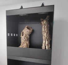 Carica l'immagine nel visualizzatore di Gallery, Batería 2 de 100x40x40
