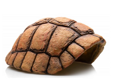 Carica l'immagine nel visualizzatore di Gallery, Cueva caparazón de tortuga

