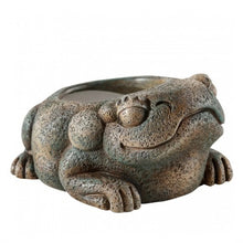 Carica l'immagine nel visualizzatore di Gallery, Bebedero FROG AZTECA Exo-Terra (6748941484231)
