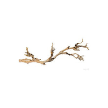 Carica l'immagine nel visualizzatore di Gallery, Rama FOREST BRANCH Exo-Terra (6748941385927)
