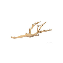 Carica l'immagine nel visualizzatore di Gallery, Rama FOREST BRANCH Exo-Terra (6748941385927)
