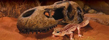 Carica l'immagine nel visualizzatore di Gallery, Refugio T-REX   Exo-Terra
