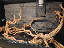 Carica l'immagine nel visualizzatore di Gallery, Rama Twist Root

